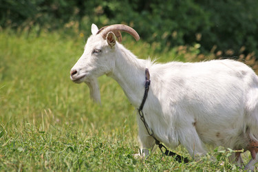 Similar image 661004