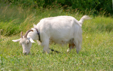 Similar image 661006