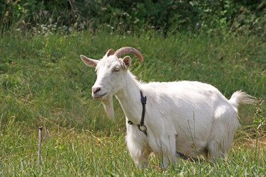 Similar image 661007