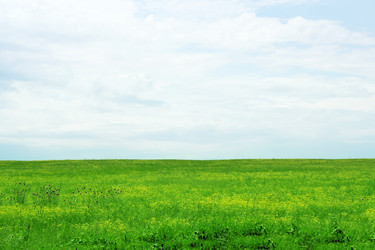 Similar image 661010