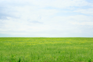 Similar image 661011