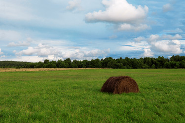 Similar image 661143