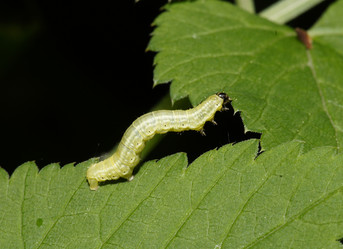 Similar image 661178