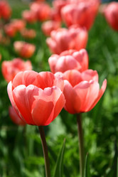 Similar image 661191