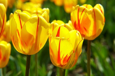 Similar image 661192