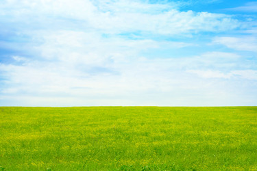 Similar image 661336