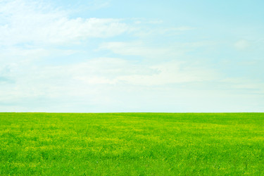 Similar image 661339