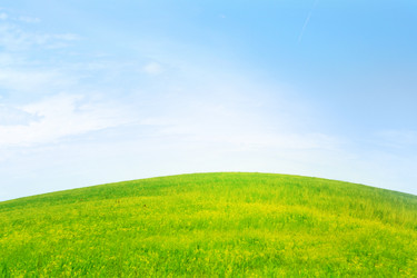 Similar image 661341