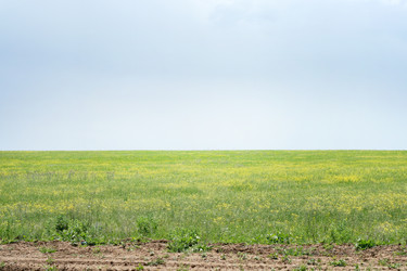 Similar image 661345