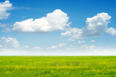 Similar image 661346