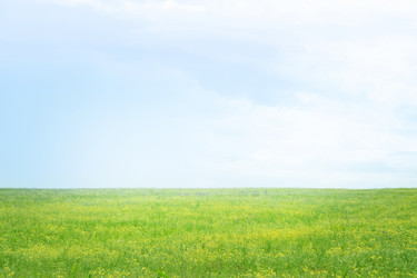 Similar image 661349