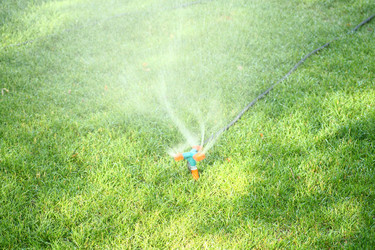 Similar image 661360