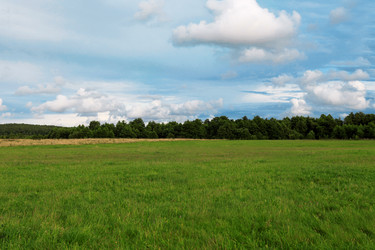 Similar image 661436