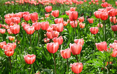 Similar image 661469