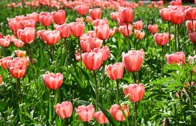 Similar image 661471