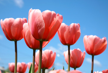 Similar image 661481