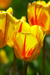 Similar image 661486