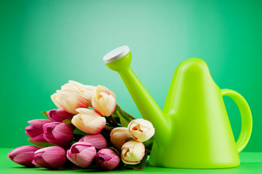 Similar image 661509