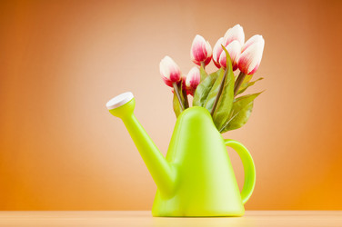 Similar image 661516