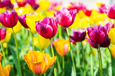 Similar image 661537