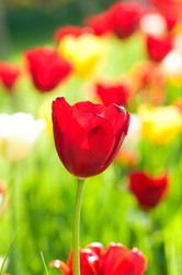 Similar image 661550