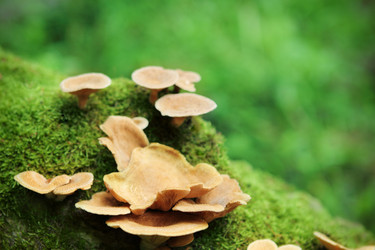 Similar image 661551