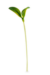 Similar image 661656