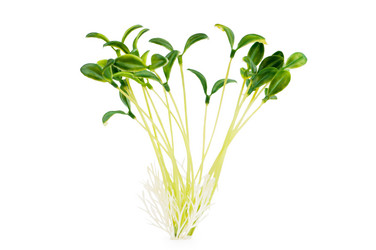 Similar image 661657