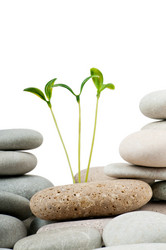 Similar image 661663