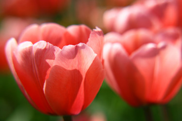 Similar image 661723