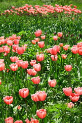 Similar image 661732