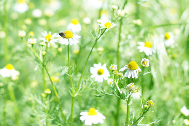 Similar image 661743