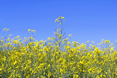 Similar image 661756