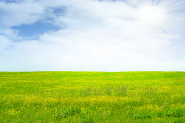 Similar image 661789