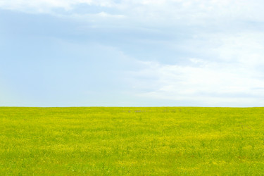 Similar image 661792