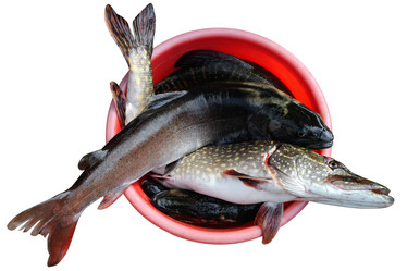 Similar image 661817