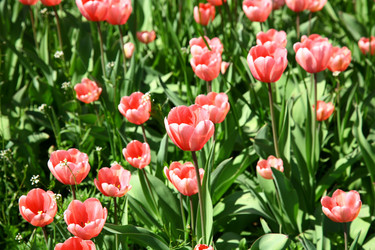 Similar image 661870