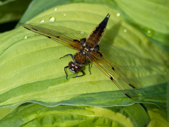 Similar image 661894