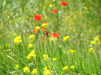 Similar image 661937