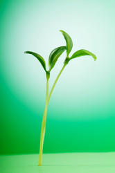 Similar image 661939