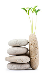 Similar image 661940