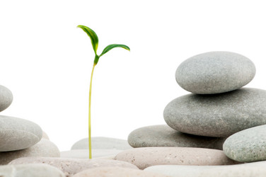 Similar image 661942