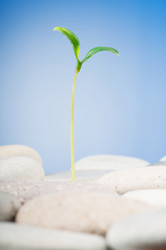 Similar image 661943