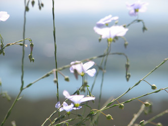 Similar image 661944