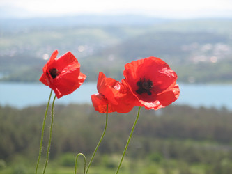 Similar image 661947