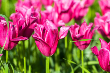 Similar image 661963