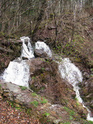 Similar image 662076