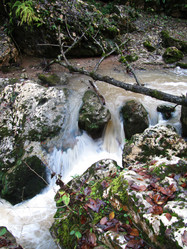 Similar image 662078