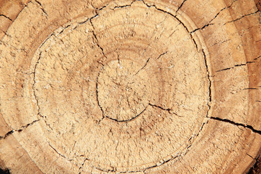 Similar image 662081