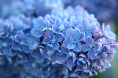 Similar image 662265